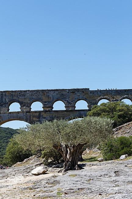 Pont du Gard-005